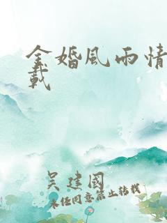 金婚风雨情 下载