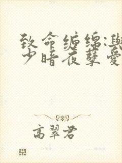 致命缠绵:与冷少暗夜孽爱