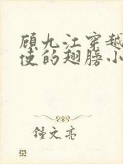 顾九江穿越唱天使的翅膀小说