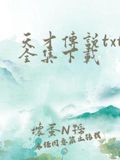 天才传说txt全集下载