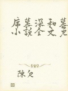 席慕深和慕清泠小说全文免费阅读