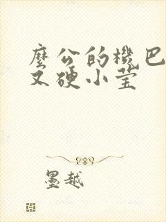 么公的机巴又粗又硬小莹