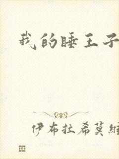 我的睡王子殿下