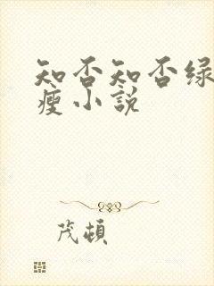 知否知否绿肥红瘦小说