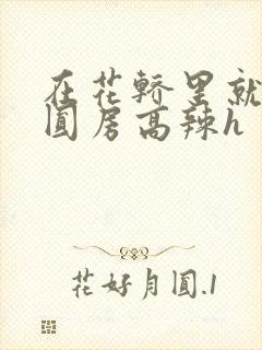 在花轿里就开始圆房高辣h