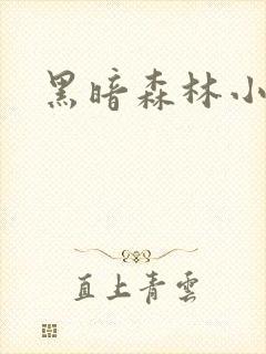 黑暗森林小说