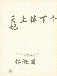 天上掉下个奇王妃