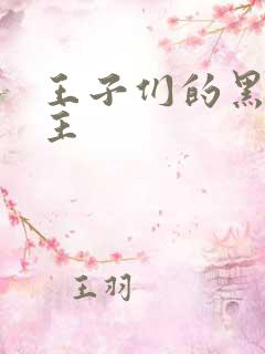 王子们的黑道公主