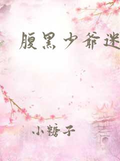 腹黑少爷迷糊妻