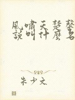 风啸天楚馨月小说叫什么名字