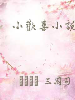 小欢喜小说