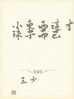 小东西这才一颗珠子而已