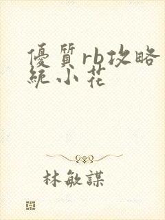 优质rb攻略系统小花