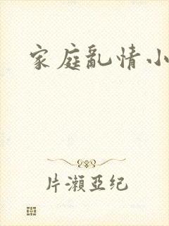 家庭乱情小说