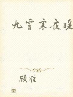 九霄寒夜暖小说