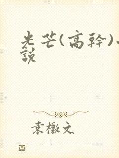 光芒(高干)小说