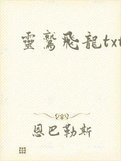 灵鹫飞龙txt