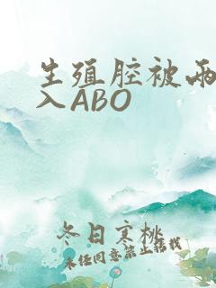 生殖腔被两根进入ABO