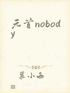 元首nobody