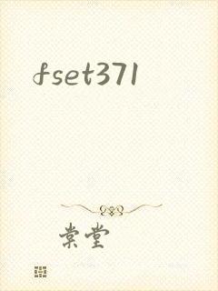 fset371