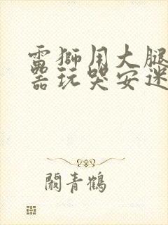 雷狮用大腿支撑器玩哭安迷修