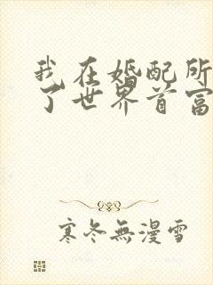 我在婚配所摇到了世界首富小说