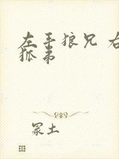 左手狼兄 右手狐弟