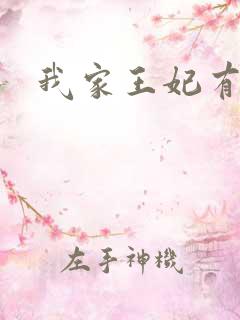 我家王妃有点野