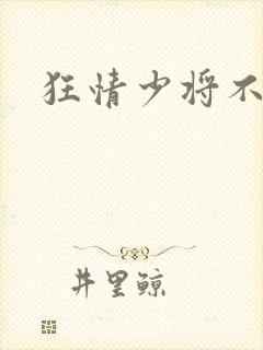 狂情少将不良妻