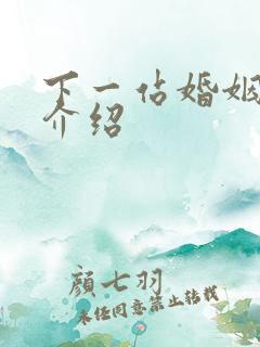 下一站婚姻剧情介绍