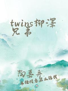 twins柳泽兄弟