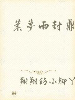 叶梦雨封鼎小说