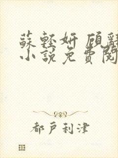 苏轻妍 顾辞笙小说免费阅读