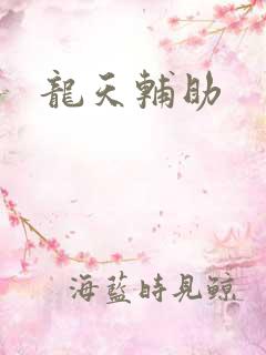 龙天辅助