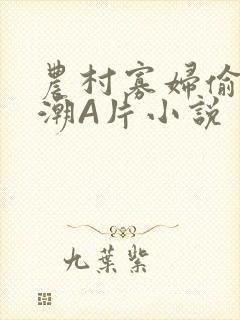 农村寡妇偷人高潮A片小说