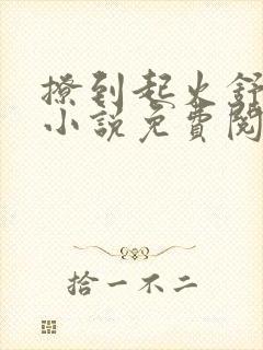 撩到起火舒漾的小说免费阅读全文