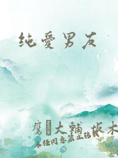 纯爱男友