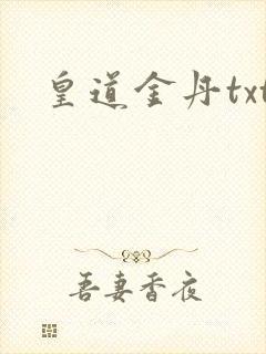 皇道金丹txt