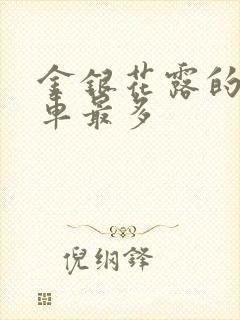 金银花露的哪个车最多