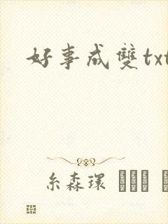 好事成双txt
