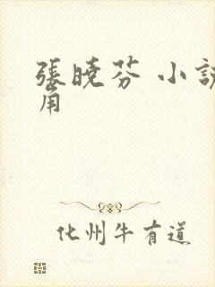 张晓芬 小说主角