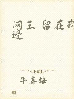 网王 留在我身边
