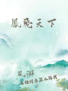 凤飞天下