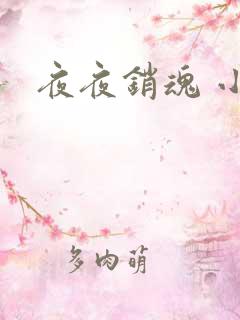 夜夜销魂 小说