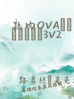 熟肉OVAちゃんはしたい3V2