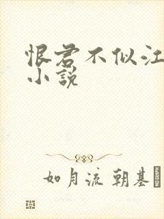 恨君不似江楼月小说