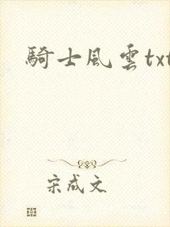 骑士风云txt