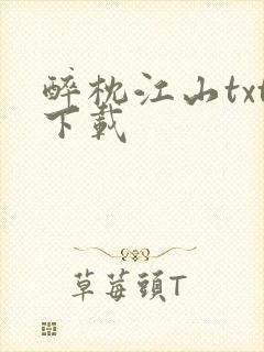 醉枕江山txt下载