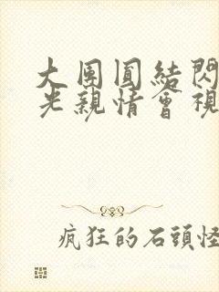 大团圆结闪闪发光亲情会视频