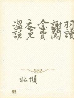 温衣念谢羽渊小说免费阅读